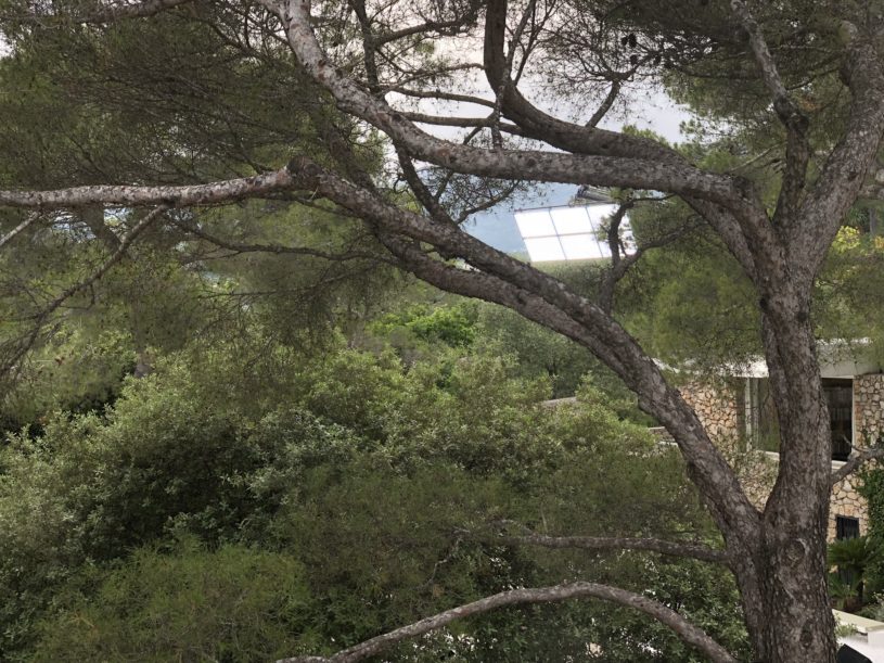 Louis Vuitton Cruise Fondation Maeght 2019